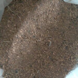 Coco Peat
